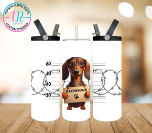 20oz Dual Drink Bottle & Tumbler - Dachshund