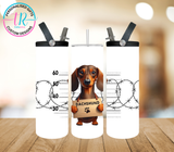 20oz Dual Drink Bottle & Tumbler - Dachshund